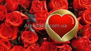 Где заказать оперативную доставку цветов в Днепре?